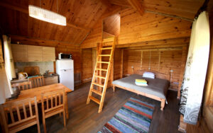 Img 7876